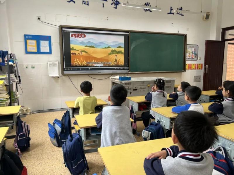 观看种子成长照片.jpg
